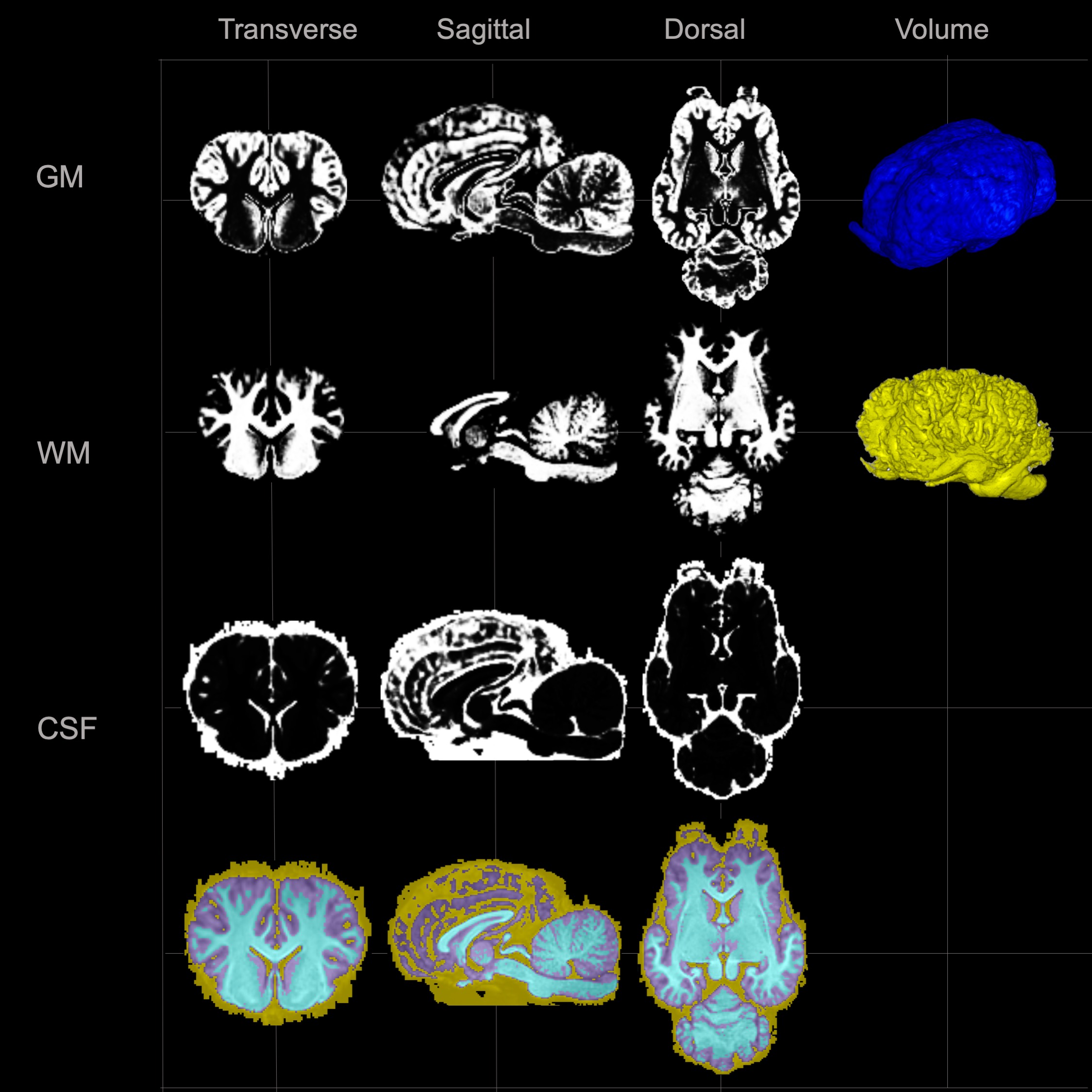 research on animal brains